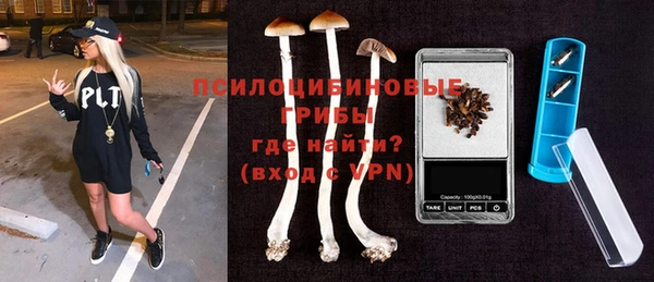 молекула духа Корсаков